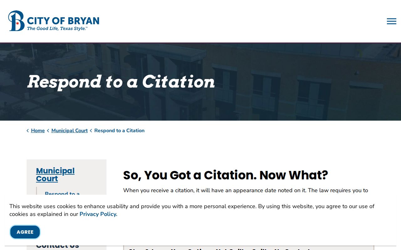 Bryan court docket citation response choices